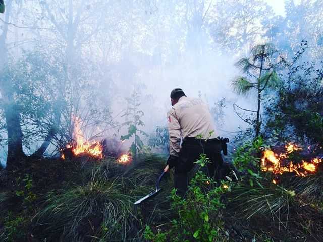 Sofocan incendio en ‘La Malinche’