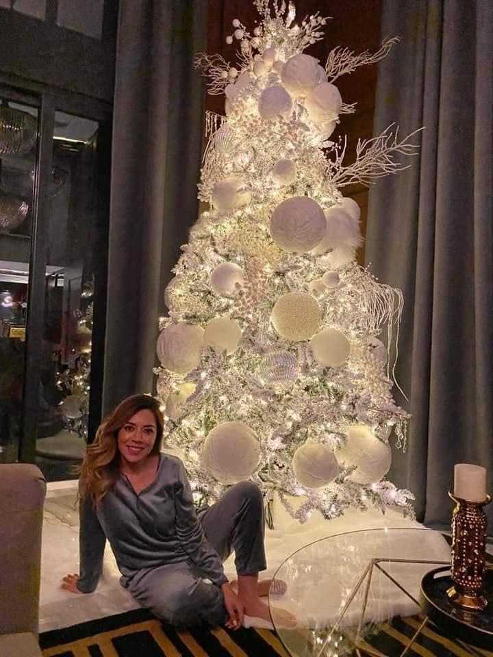 Dulce Silva posa junto a su costoso árbol de más de 20 mil pesos