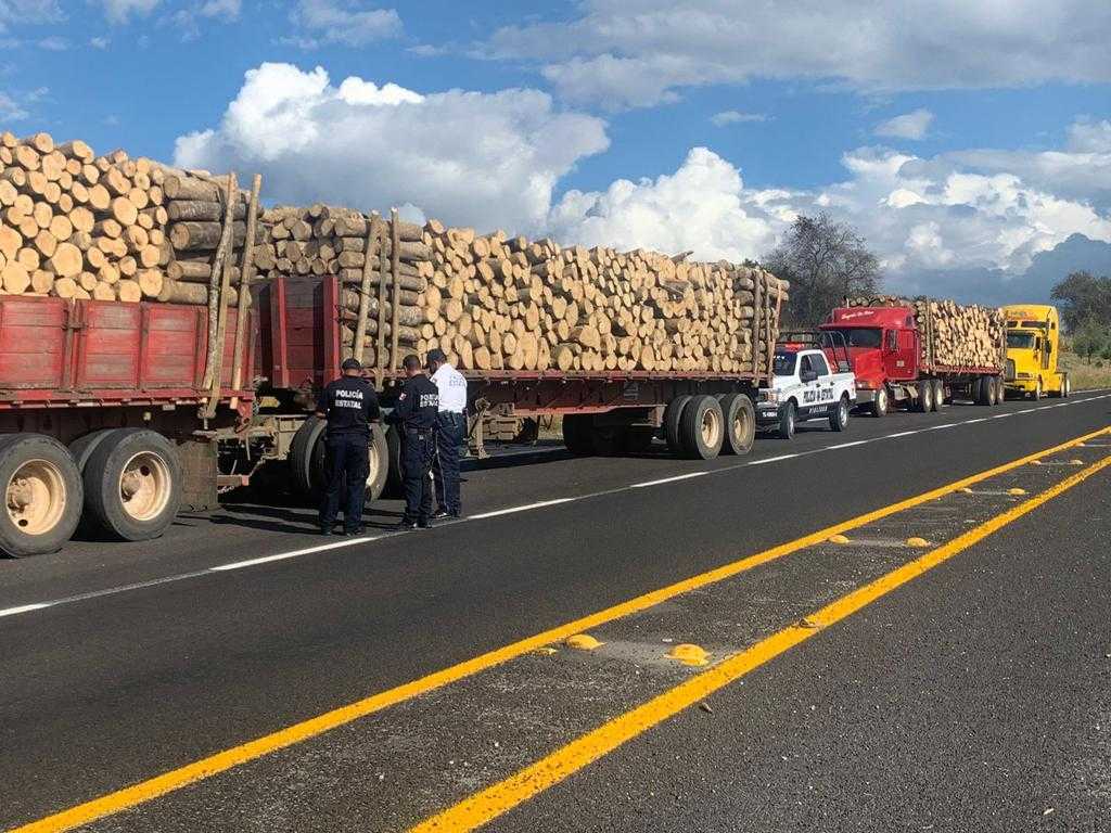 Aseguraron policías estatales cinco vehículos con 210 toneladas de madera