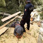 Policía de montaña detuvo a dos personas por daños al medio ambiente y asegura material forestal en La Malinche